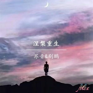 短剧涅槃重生全集观看_涅槃重生电视剧--第1张