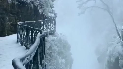 短剧鬼谷门天罚降世全集观看_鬼谷天堑百度百科--第1张