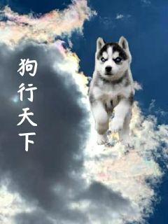 短剧系统叫我做添狗全集观看_系统叫我做好人 小说--第1张