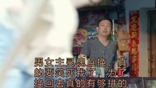 短剧当虐文男女主灵魂互换全集观看_男女主灵魂互换宠文--第1张