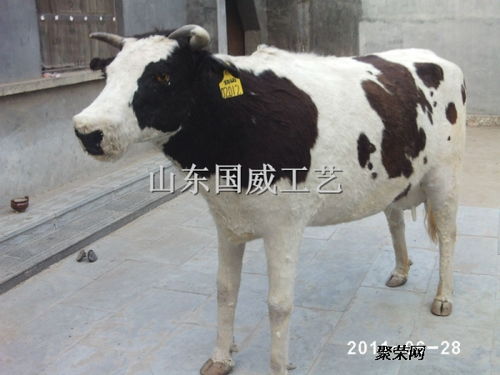 短剧我是你的年下奶奶全集观看_我是你的小奶牛--第1张