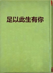 短剧此生有你心安免费在线观看_此生有你足矣小说全文免费阅读--第1张