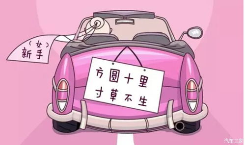 短剧约个神豪当司机全集观看_约个车什么意思--第1张