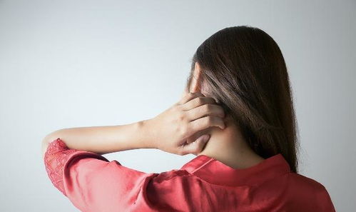 短剧替嫁缠婚大佬送上门免费在线观看_替嫁新娘一共多少--第1张