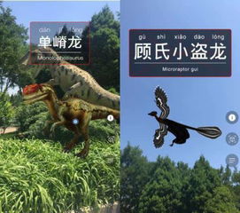 短剧龙之子全集观看_龙之子电影百度百科--第1张