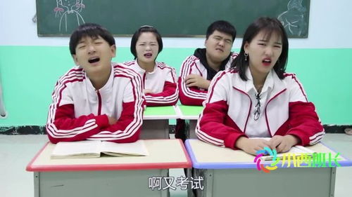 短剧苏助理只想带崽跑路全集观看_苏助理为何那样--第1张
