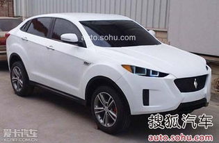 野马车标图片_野马车标图片 野马汽车--第1张
