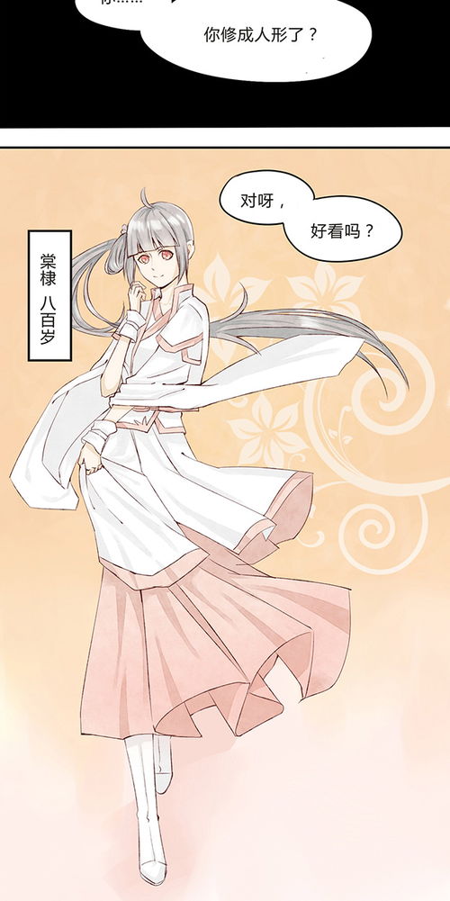 短剧小厨娘的少主夫君全集观看_小厨娘连续剧--第1张