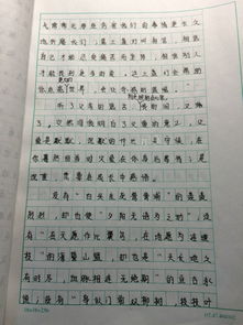 短剧我成了幸运之神全集观看_我很幸运成为了你的作文--第1张