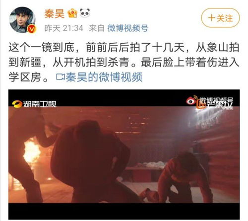 短剧新版我竟困在同一天一万年全集观看_我被困在同一天一万年txt--第1张