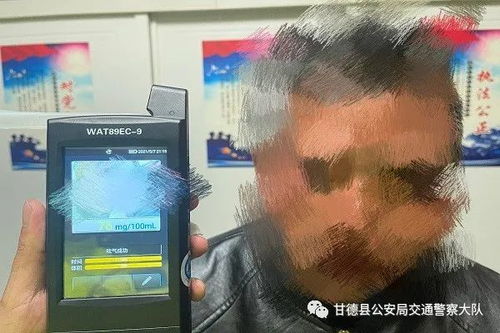 金华市公安局交警支队违章查询_金华交警处理违章查询--第1张