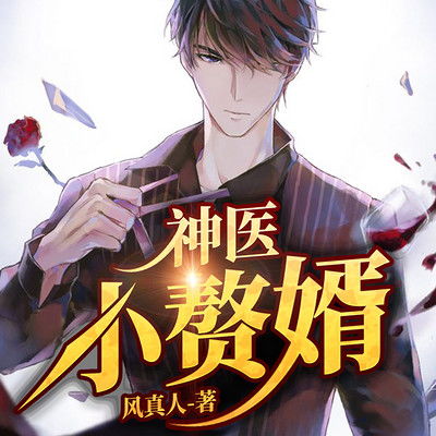 神医赘婿的大结局视频_神医赘婿介绍--第1张