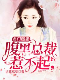 短剧名门暖婚小合每分钟全集观看_名门暖婚有点甜全文阅读--第1张