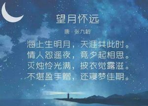 短剧相思不似相逢全集观看_短剧相思不似相逢全集观看下载--第1张