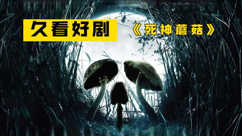 短剧逆袭从预知未来开始全集观看_逆袭从现在开始--第1张