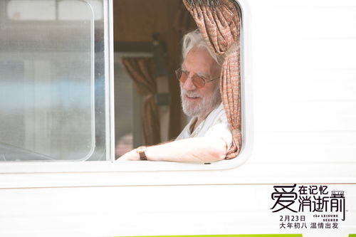 短剧带着记忆再爱你一次全集观看_带着记忆宠你免费阅读--第1张
