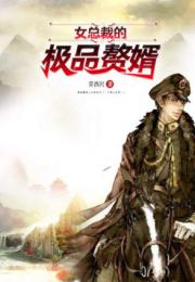 绝品赘婿出山大结局28集_绝品赘婿 小说--第1张