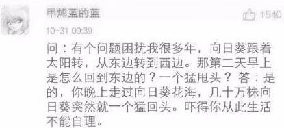 短剧明知故犯全集观看_明知故犯国语版叫什么--第1张