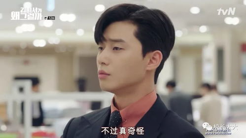 热播短剧怀崽后孟秘书每天都想跑路&高冷总裁的追妻攻略&霸道总裁的甜蜜攻略柴柴免费在线观看--第1张