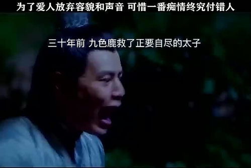 短剧痴情错付全集观看_痴情付错是什么意思--第1张