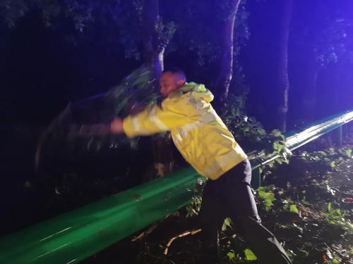 热播短剧爱在狂风暴雨之后免费在线观看_爱在暴风雨的日子电视剧大结局--第1张
