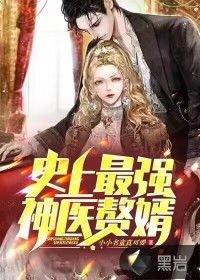神医小赘婿大结局视频播放_神医赘婿长篇小说--第1张