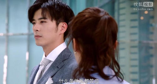 热播短剧冷总的盛宠小娇妻免费在线观看_冷总宠妻套路深全文免费阅读--第1张