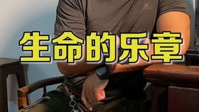 短剧天眼捡漏王全集观看_天眼鉴宝全文免费--第1张