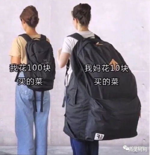 短剧银行佳人&崛起与女神恋爱渐入佳境长篇完整版全集观看_银行佳人日剧--第1张