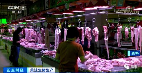 短剧重回年代王宇峰芊芊全集观看_重回年少时光--第1张