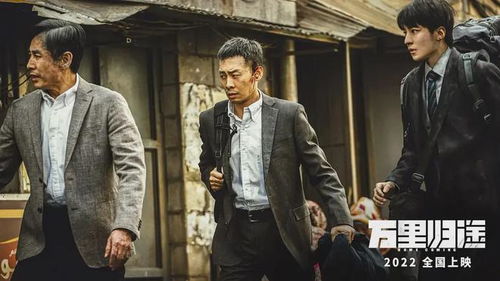 热播短剧万里归途免费在线观看--第1张