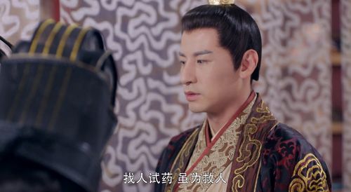 短剧天尊女婿全集观看_天尊皇婿--第1张