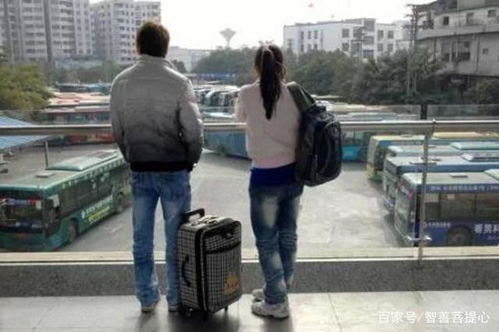 热播短剧-豪门夫人来打工免费在线观看_豪门夫人又败家了免费阅读--第1张