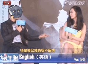 热播短剧界王$离婚后，我给老婆送飞机免费在线观看_离婚后我给前夫养了七个崽免费阅读--第1张