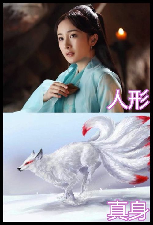 短剧我妈是九凤天后全集观看_我的妈妈是九尾狐--第1张
