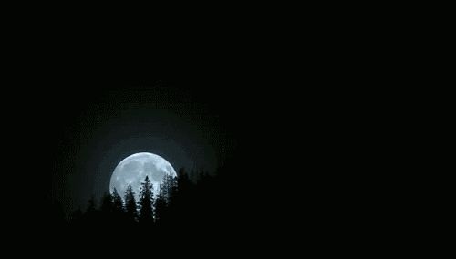 短剧你比月色撩人全集观看_你比月色更撩人全文免费阅读--第1张