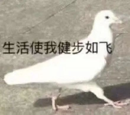 短剧归巢全集观看_短剧归巢全集观看免费--第1张