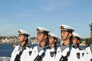 短剧大国功臣我为大夏铸剑完整版_短剧大国功臣我为大夏铸剑完整版--第1张