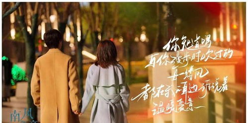 热播短剧“岚”风知我意免费在线观看_知我意南风电视剧--第1张