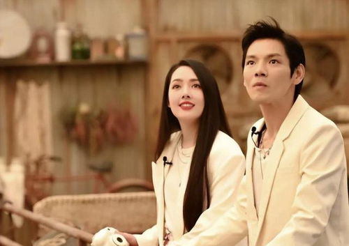热播短剧离婚后我成了豪门继承人免费在线观看_离婚后我成了豪门圈团宠免费--第1张