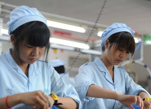 短剧重生我在工厂打螺丝全集观看_重生工厂女工--第1张