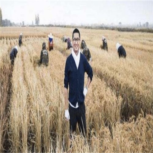 短剧靠种地成为首富全集观看_靠种地发家致富--第1张