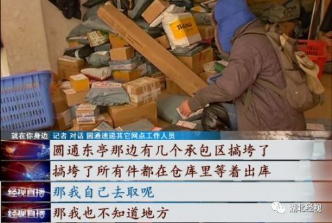 短剧成为快递员后我有了七个老婆全集观看_小说我是个快递员--第1张