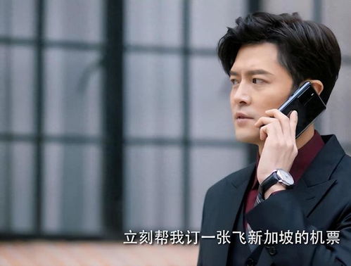 热播短剧南风不知我意免费在线观看_南风不知意电视剧--第1张