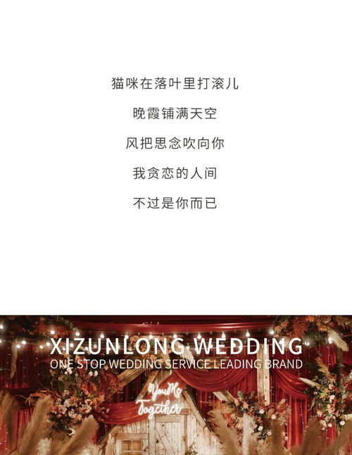 短剧以我深情祭余生全集观看_以我深情祭岁月完整版--第1张
