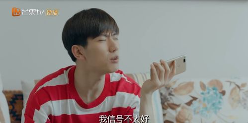 热播短剧程总，您认错白月光了免费在线观看--第1张
