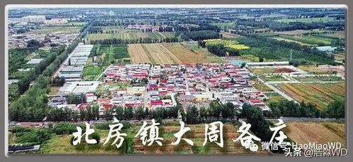 短剧镇域南皇全集观看_镇南城是什么意思--第1张
