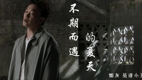 热播短剧新版：天下第一免费在线观看_电视剧天下第一视频--第1张