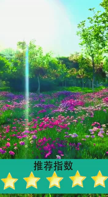 短剧时光静待花开全集观看_时光不语,静待花开--第1张