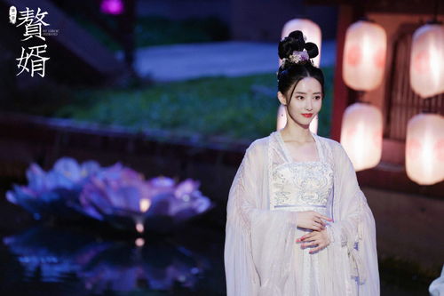赘婿楼舒婉原著大结局_赘婿楼舒婉百科--第1张